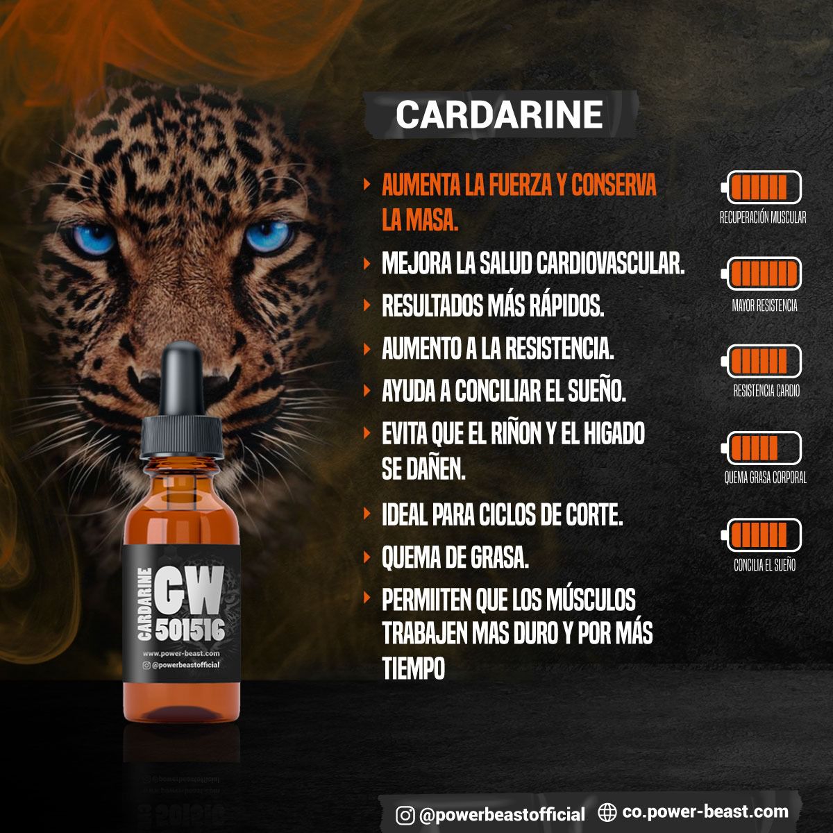 CARDARINE – Resistencia y quema de grasa